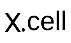 إكسل